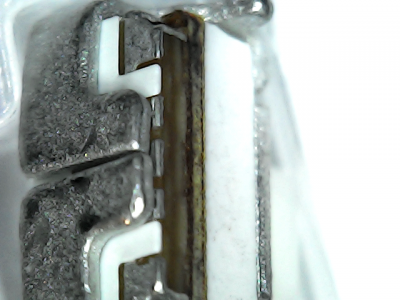  Détail du bouton au microscope