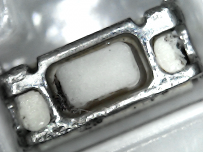 Détail du bouton au microscope, vue de face